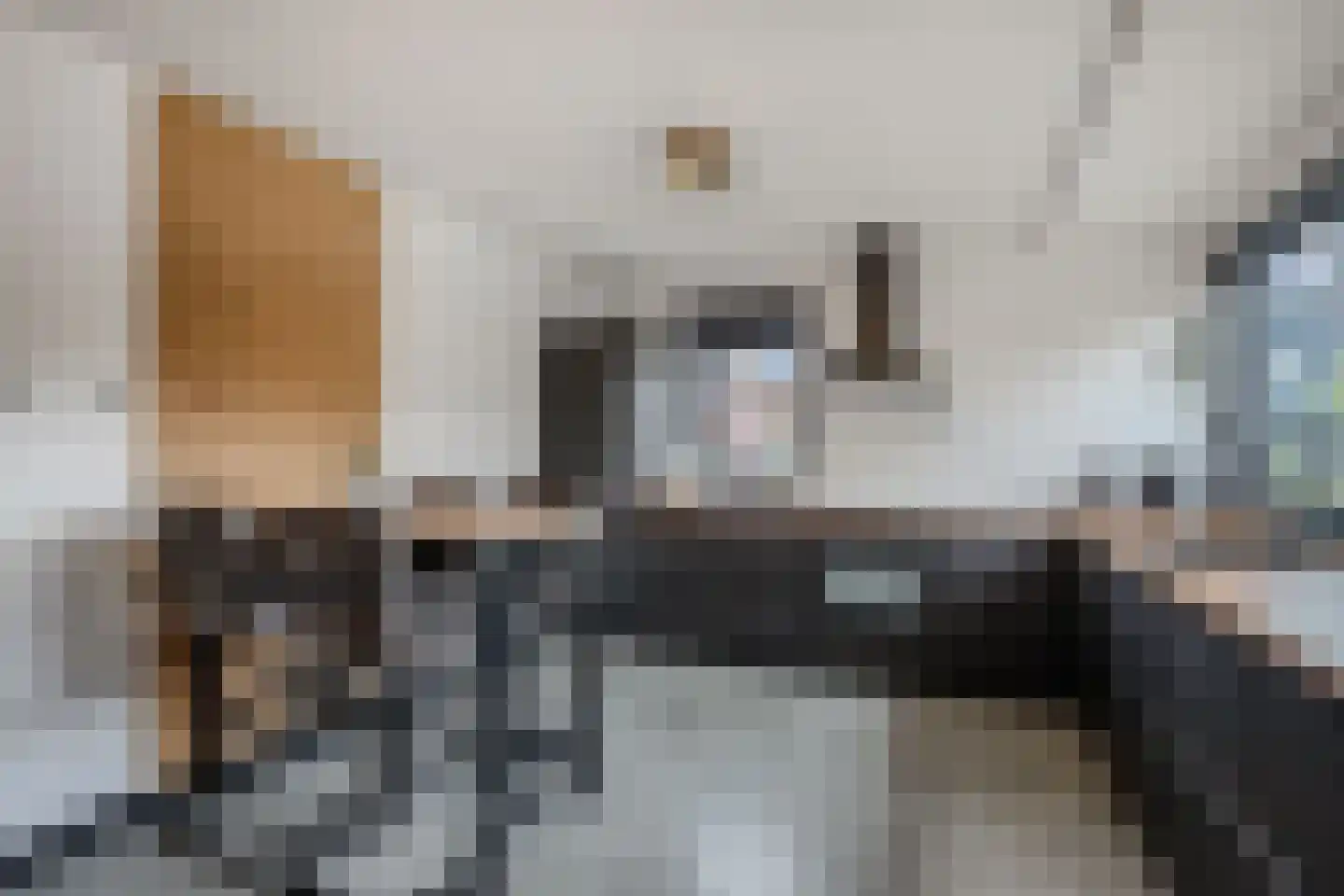 Anemoon 19 Ens thumbnail 26