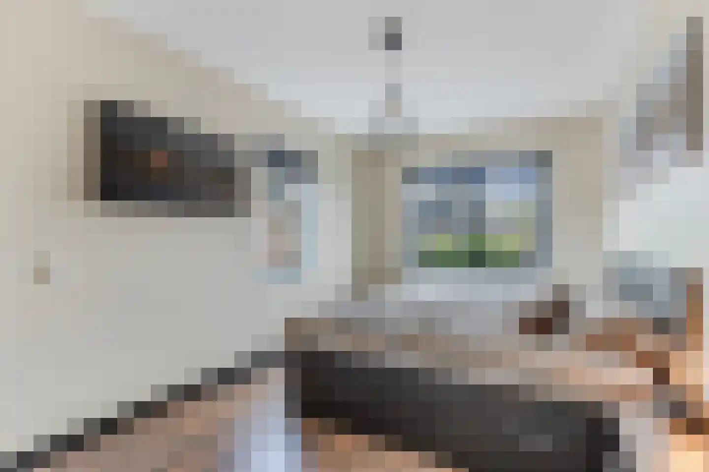 Anemoon 19 Ens thumbnail 32