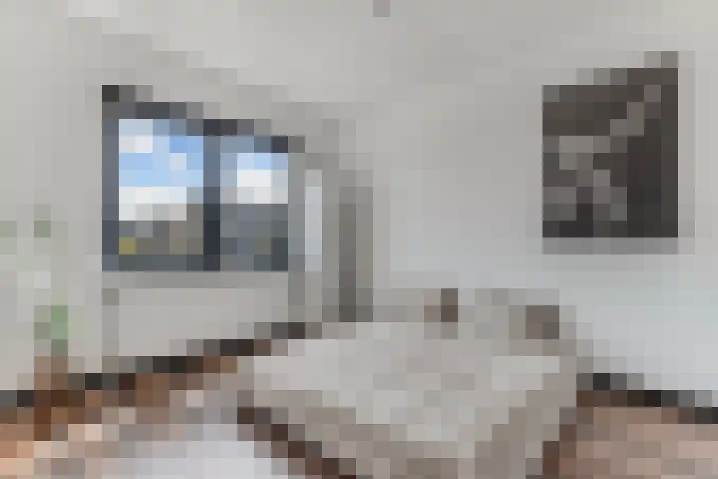 Anemoon 19 Ens thumbnail 34