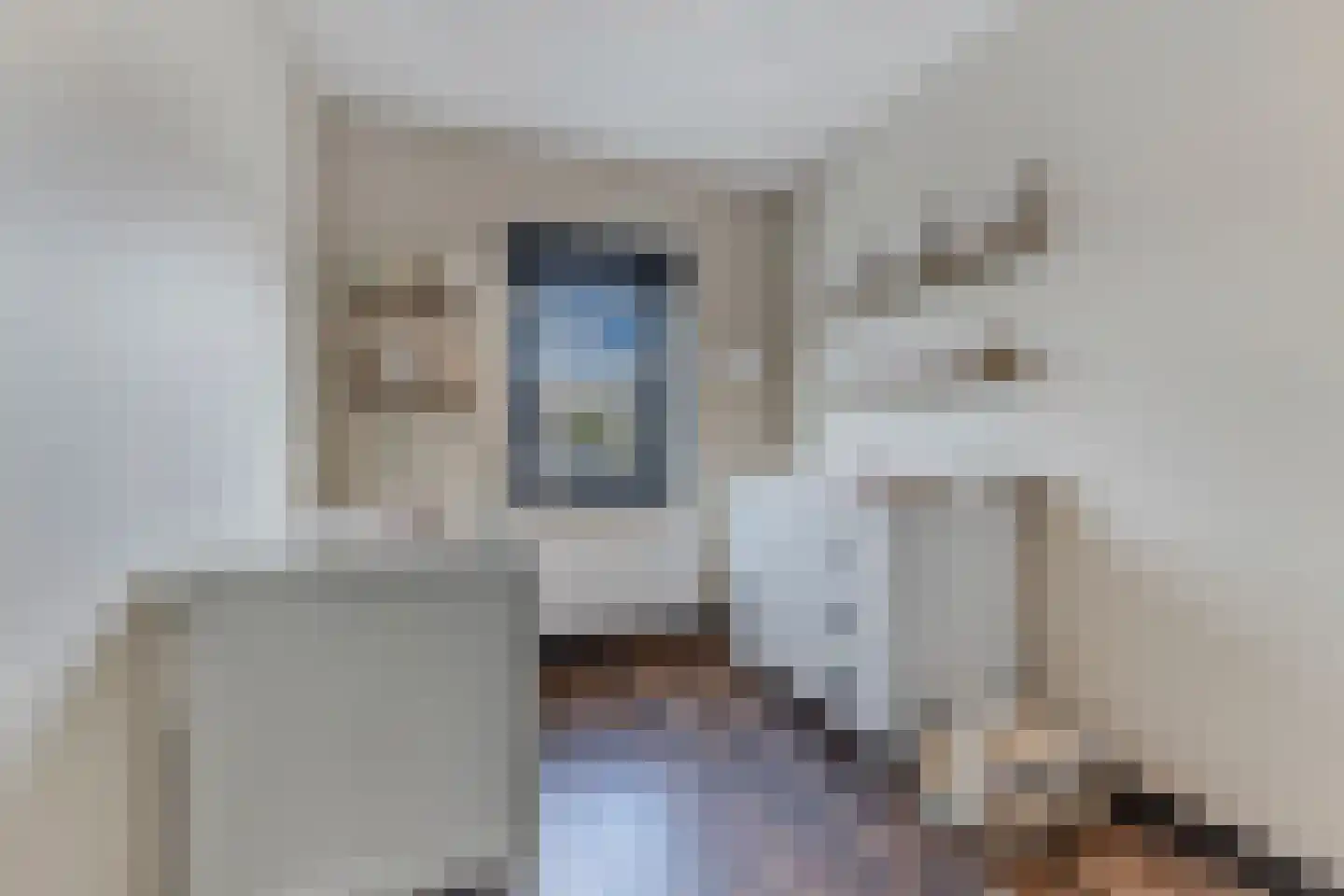Anemoon 19 Ens thumbnail 35