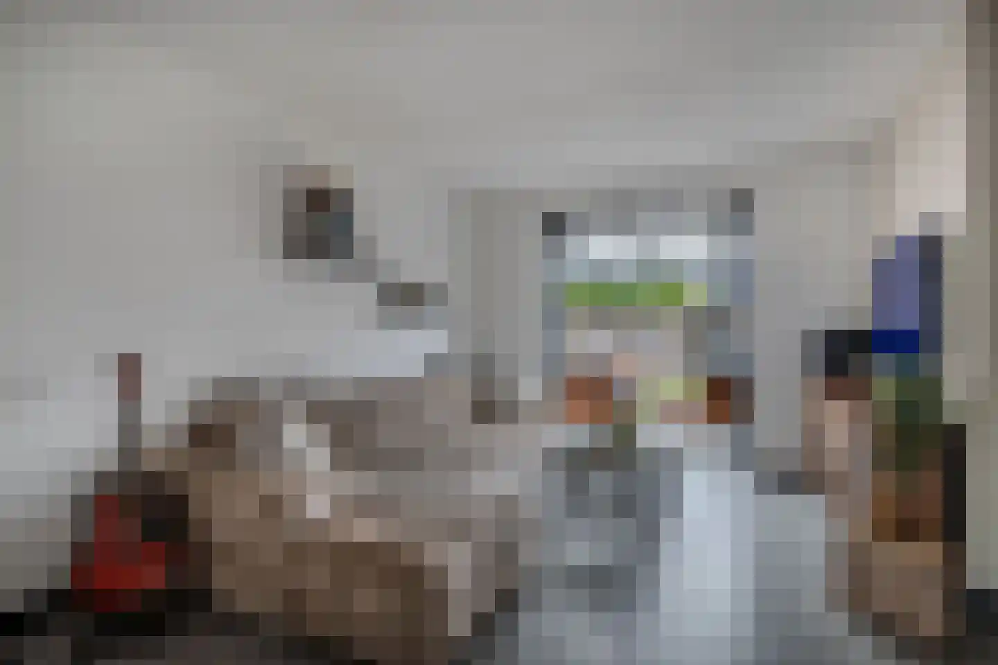 Anemoon 19 Ens thumbnail 4