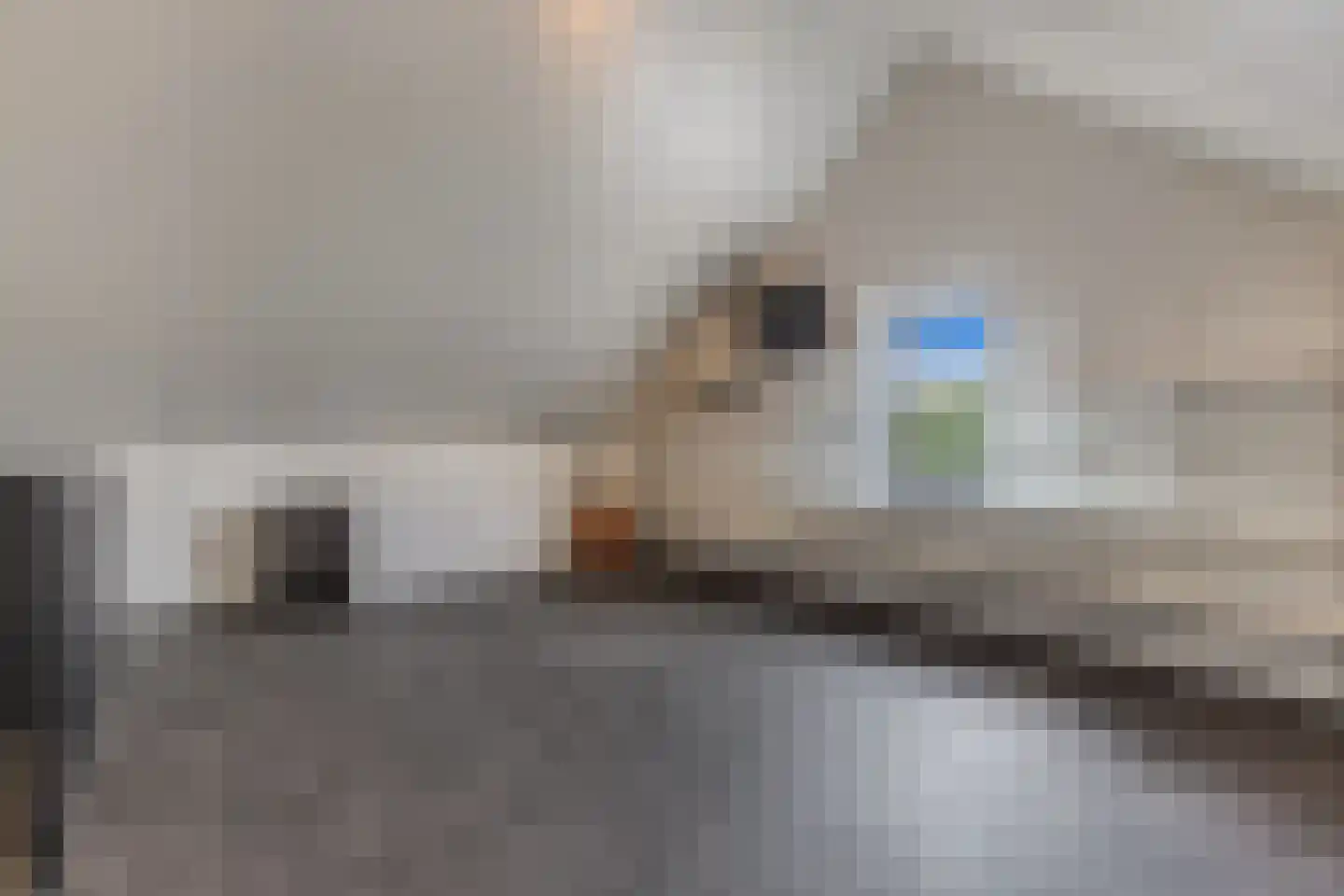 Anemoon 19 Ens thumbnail 40