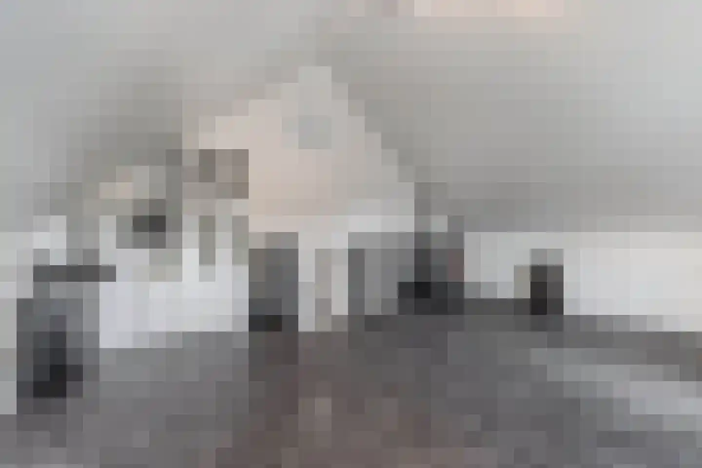Anemoon 19 Ens thumbnail 41