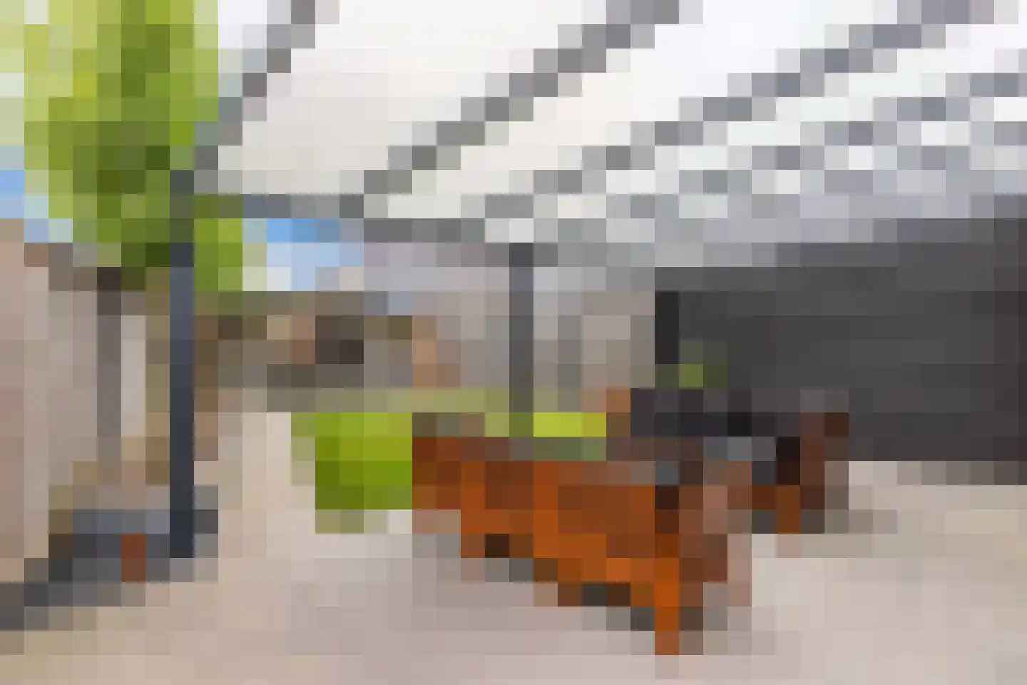 Anemoon 19 Ens thumbnail 42