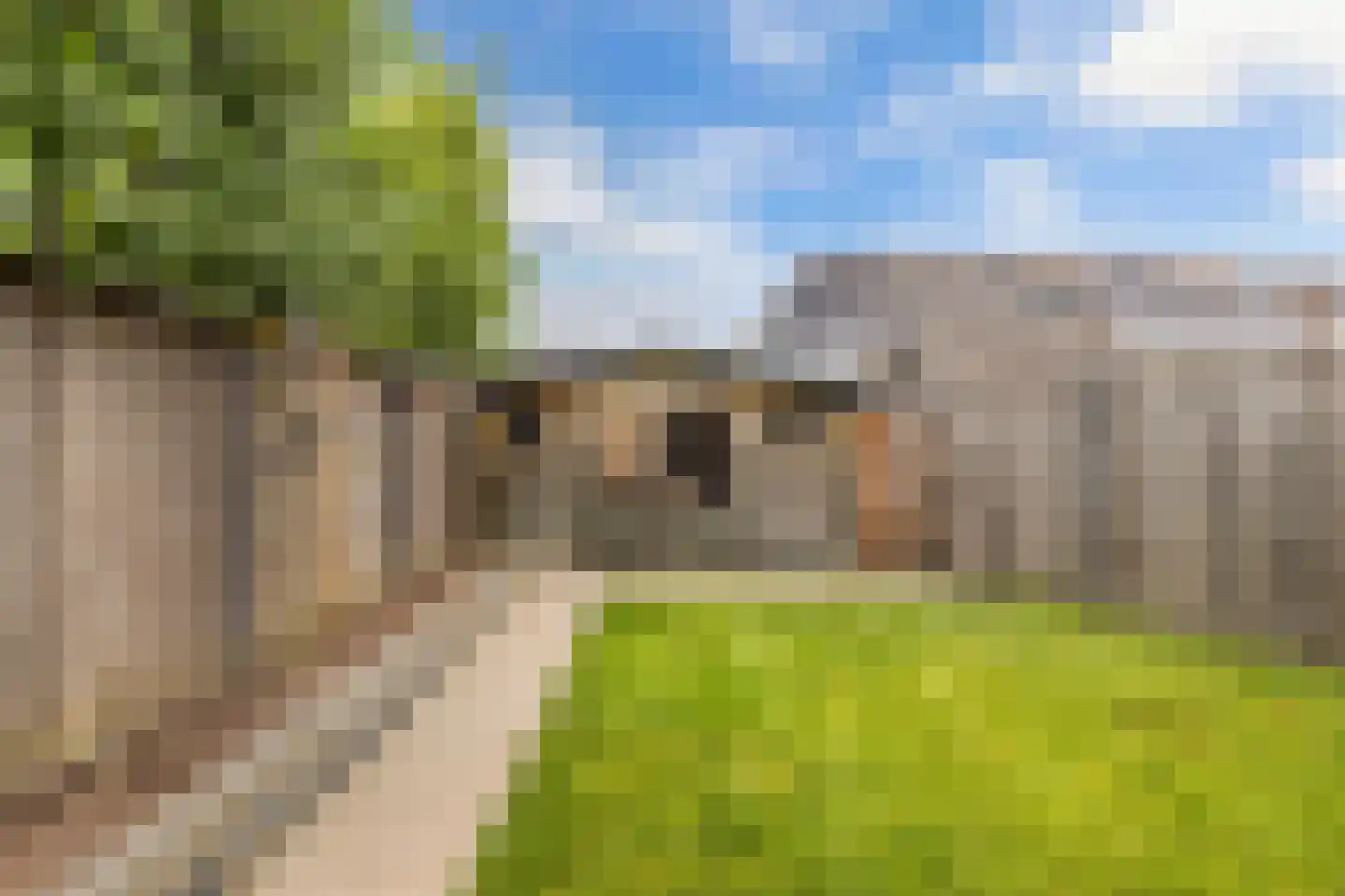 Anemoon 19 Ens thumbnail 45
