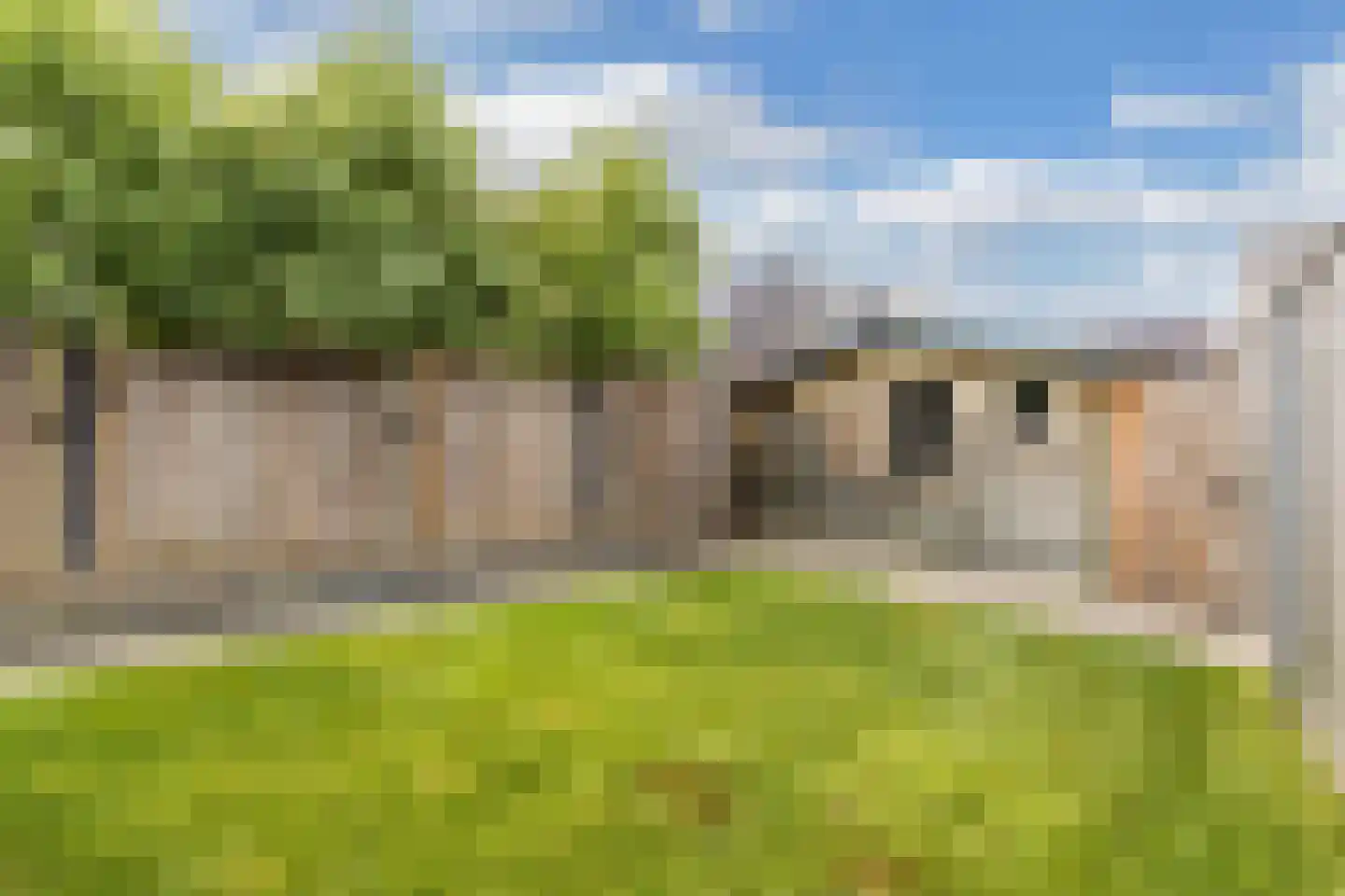 Anemoon 19 Ens thumbnail 47