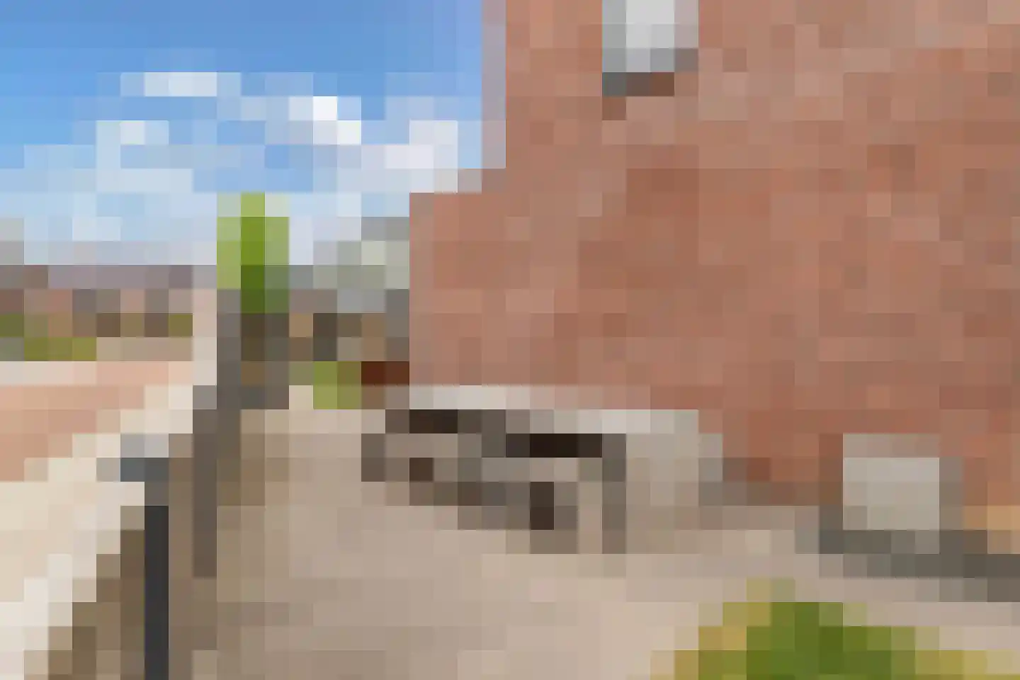 Anemoon 19 Ens thumbnail 49