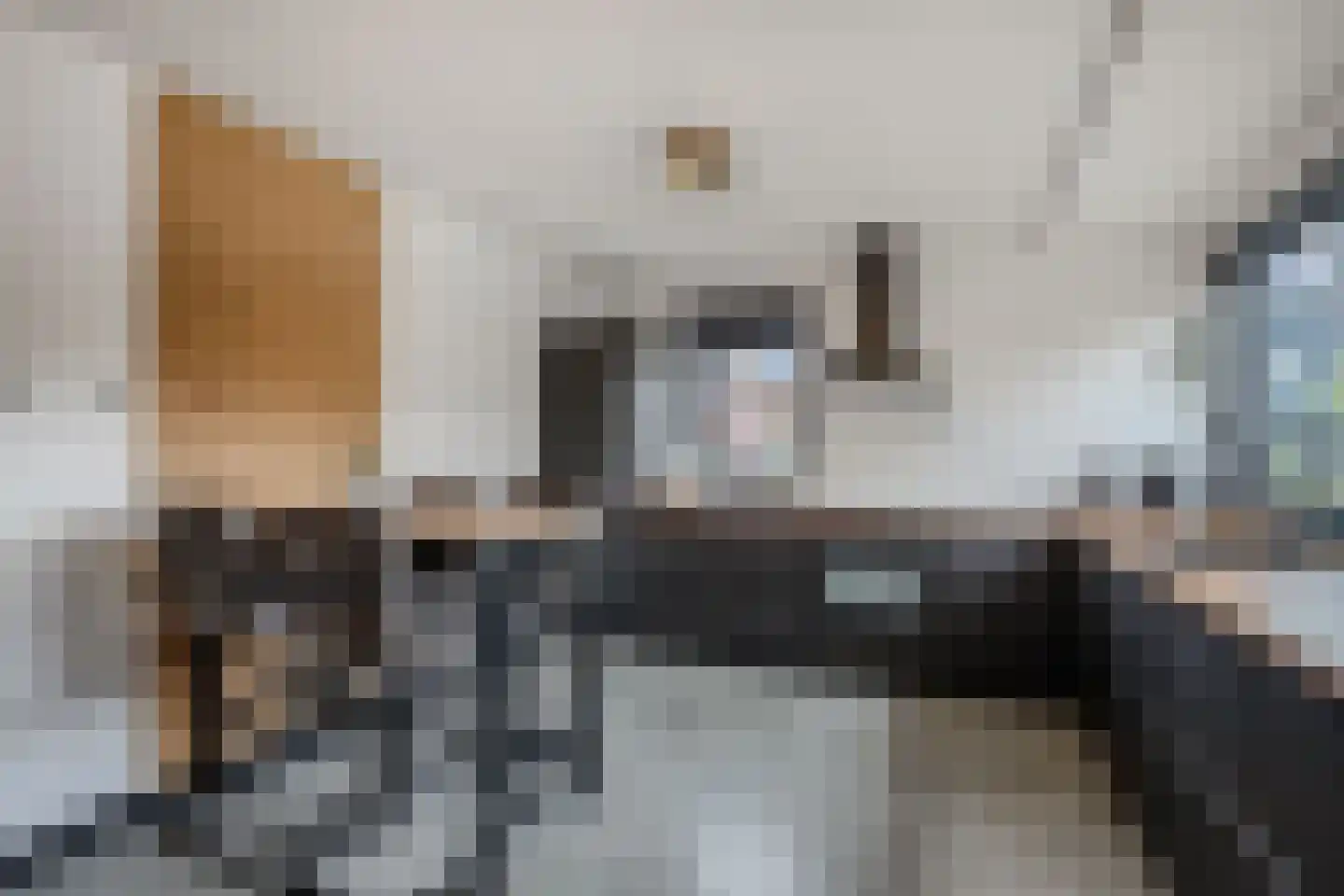 Anemoon 19 Ens thumbnail 5