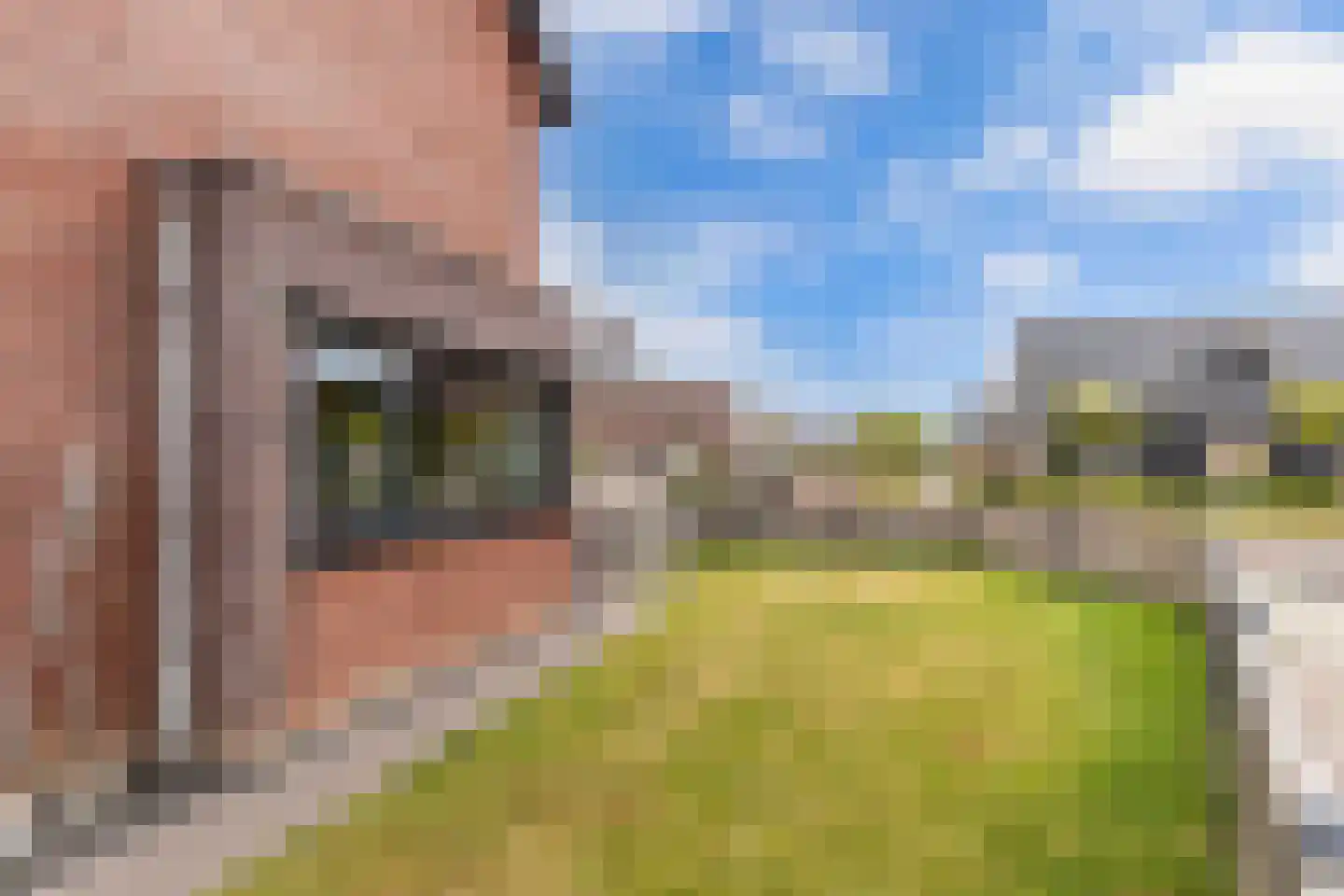 Anemoon 19 Ens thumbnail 50