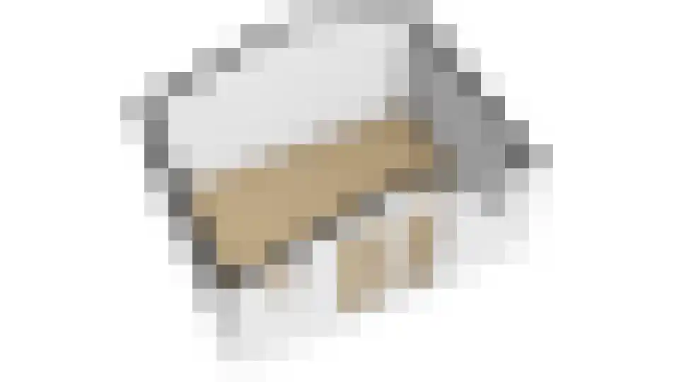 Anemoon 19 Ens thumbnail 58