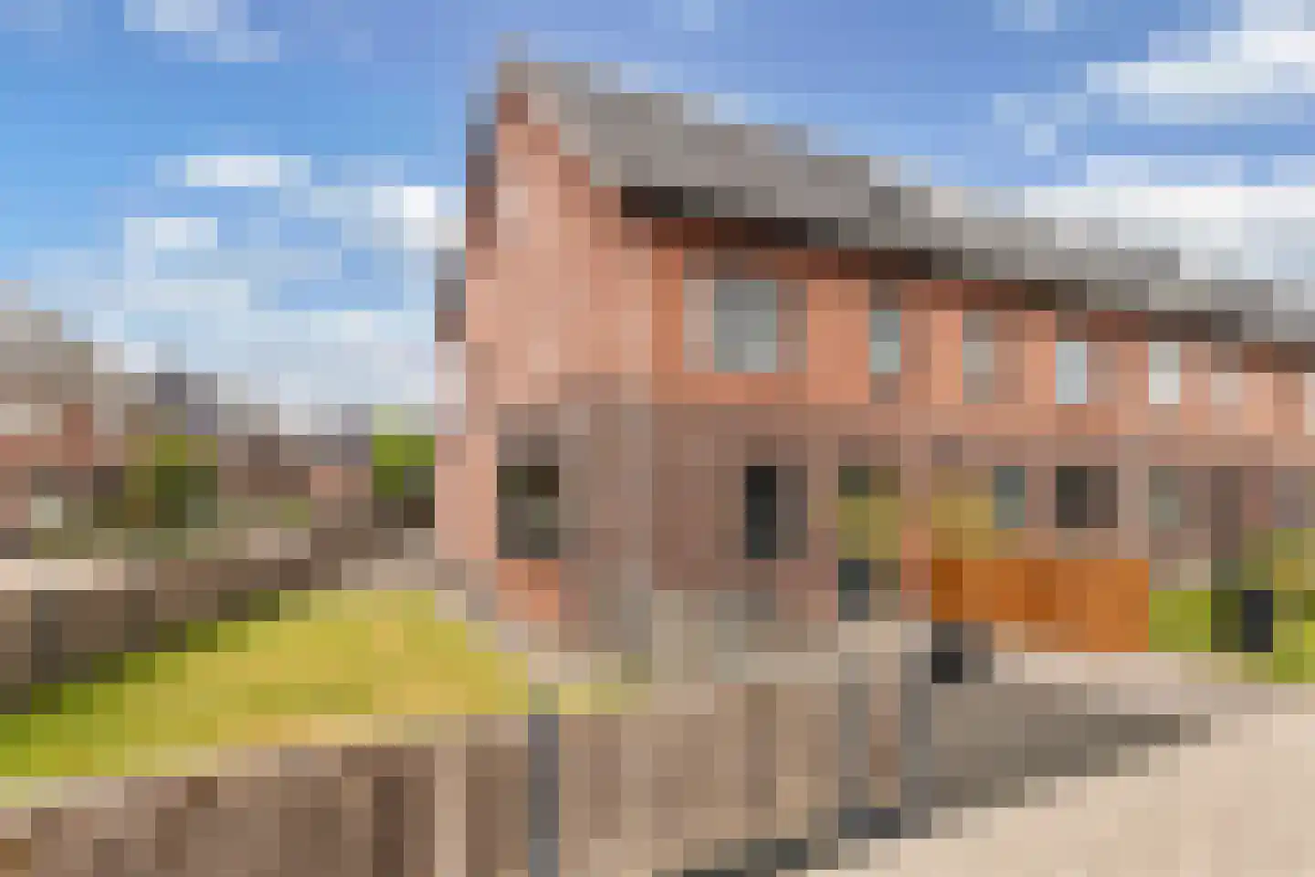 Anemoon 19 Ens thumbnail 9