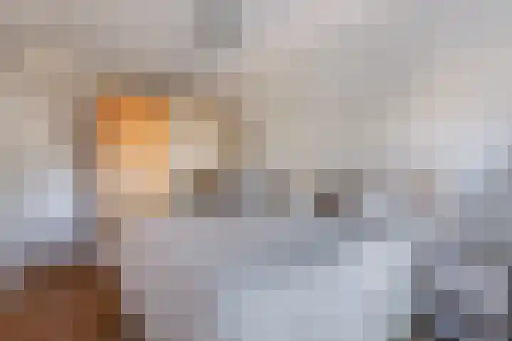 Anemoon 19 Nijverdal thumbnail 10