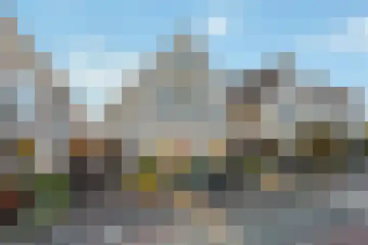 Anemoon 19 Nijverdal thumbnail 16