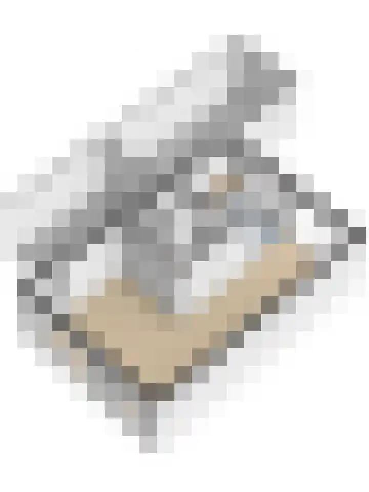 Anemoon 19 Nijverdal thumbnail 18
