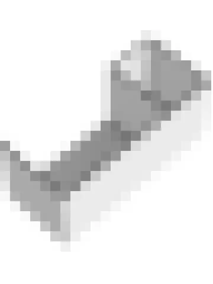 Anemoon 19 Nijverdal thumbnail 24