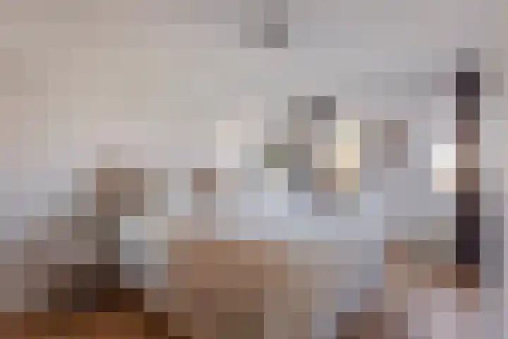 Anemoon 19 Nijverdal thumbnail 9