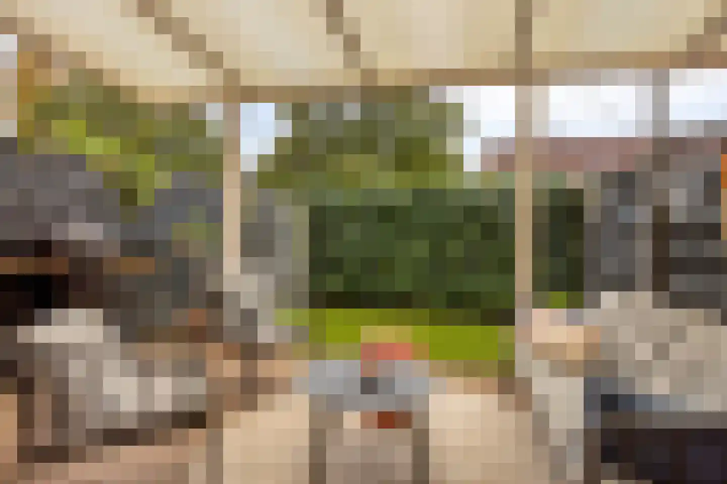 Anemoon 2 Naaldwijk thumbnail 11