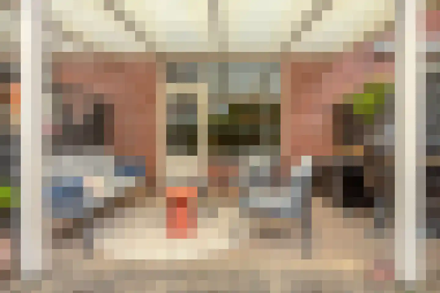 Anemoon 2 Naaldwijk thumbnail 12