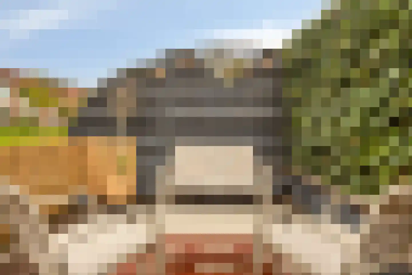 Anemoon 2 Naaldwijk thumbnail 14