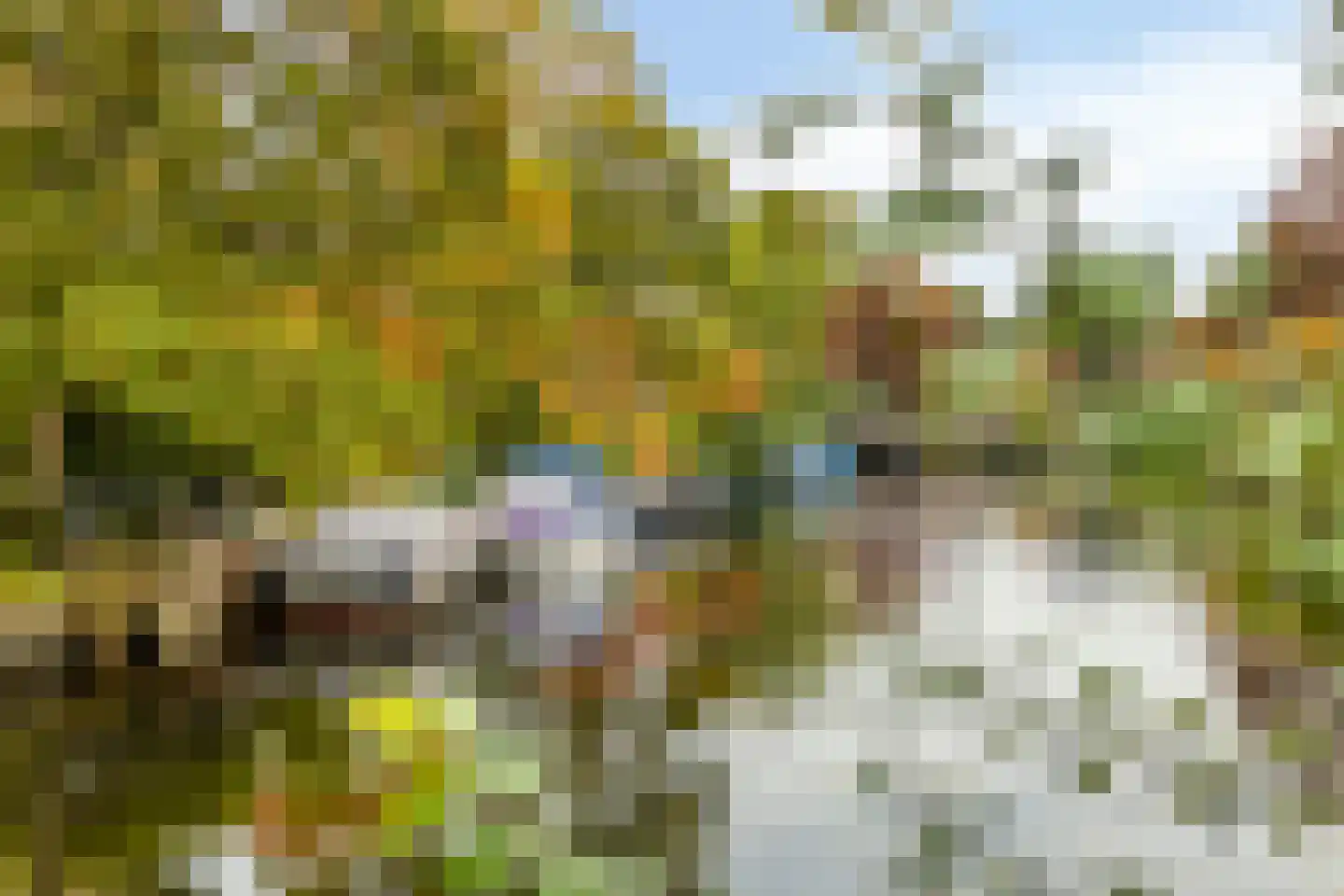 Anemoon 2 Naaldwijk thumbnail 15