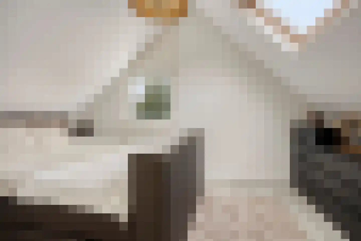 Anemoon 2 Naaldwijk thumbnail 18