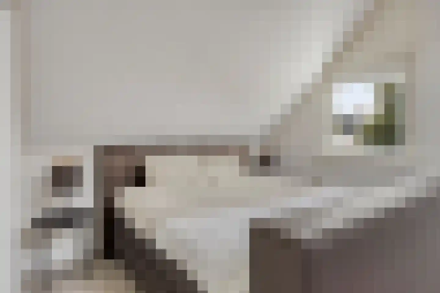 Anemoon 2 Naaldwijk thumbnail 19