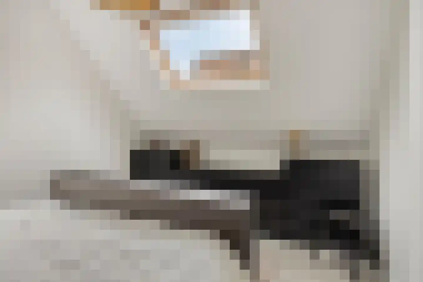 Anemoon 2 Naaldwijk thumbnail 20