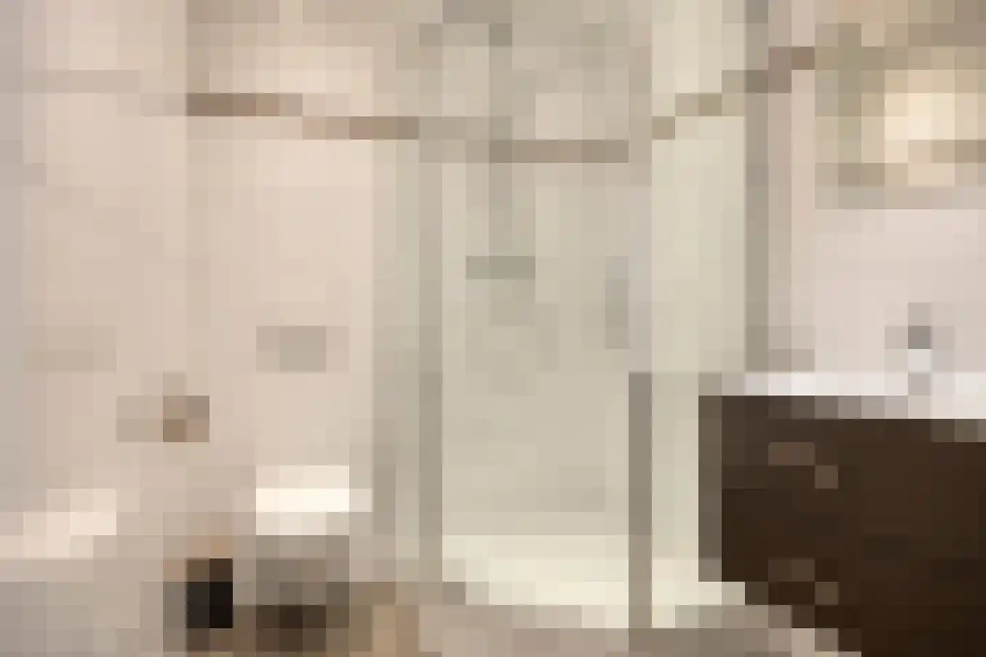 Anemoon 2 Naaldwijk thumbnail 21