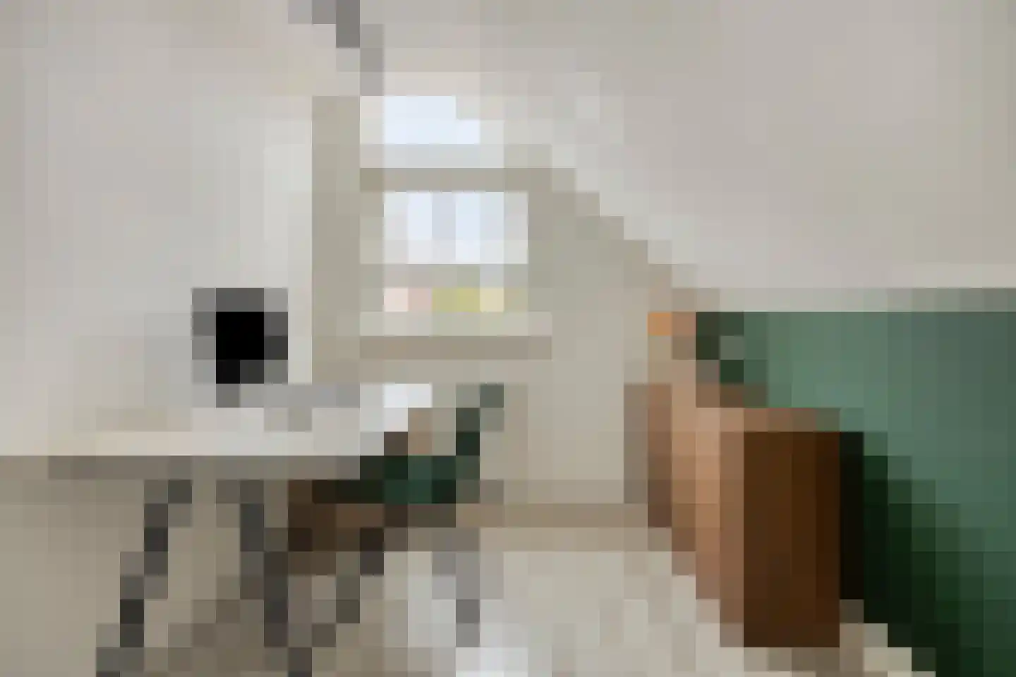 Anemoon 2 Naaldwijk thumbnail 23