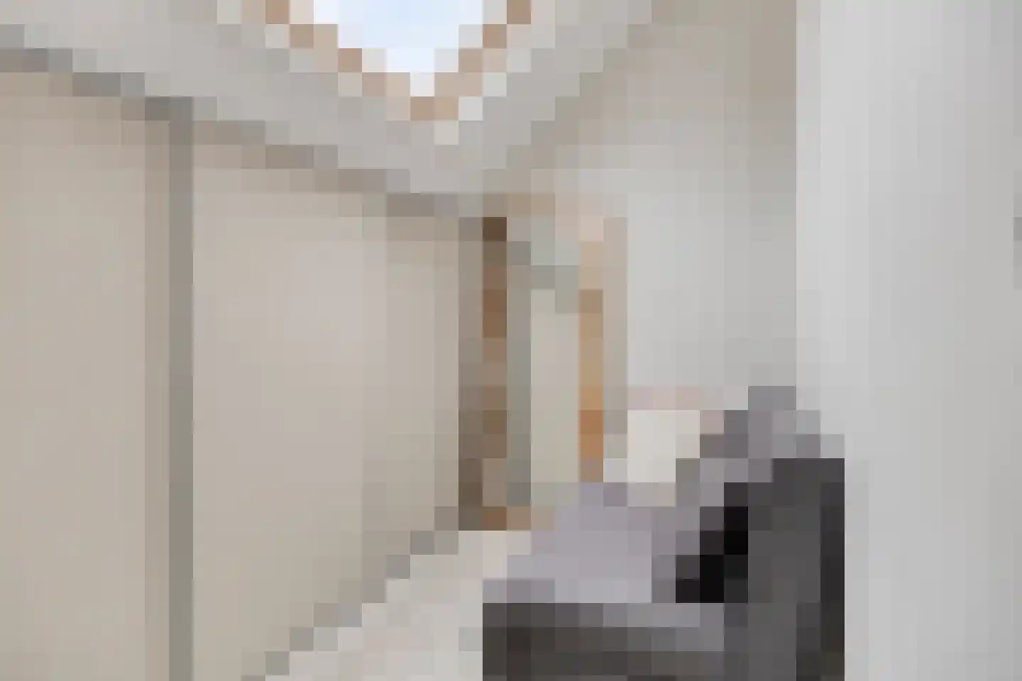Anemoon 2 Naaldwijk thumbnail 24