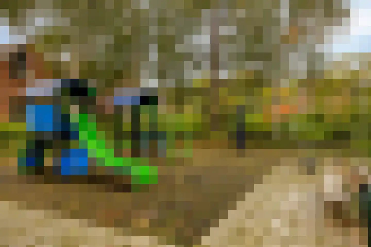 Anemoon 2 Naaldwijk thumbnail 30