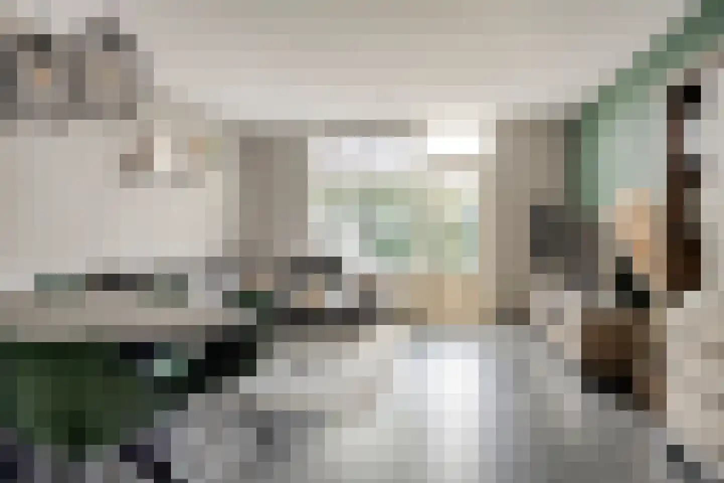 Anemoon 2 Naaldwijk thumbnail 6