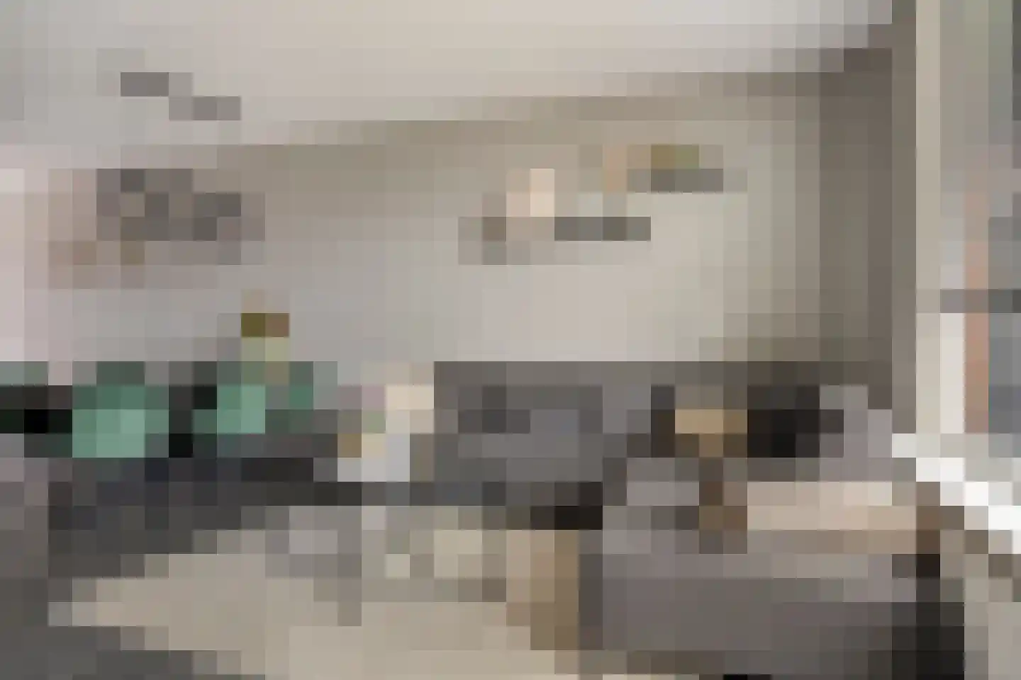 Anemoon 2 Naaldwijk thumbnail 7