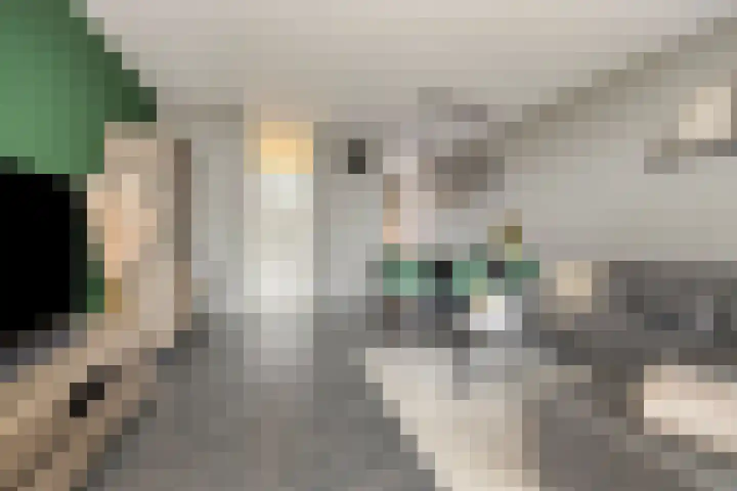 Anemoon 2 Naaldwijk thumbnail 8