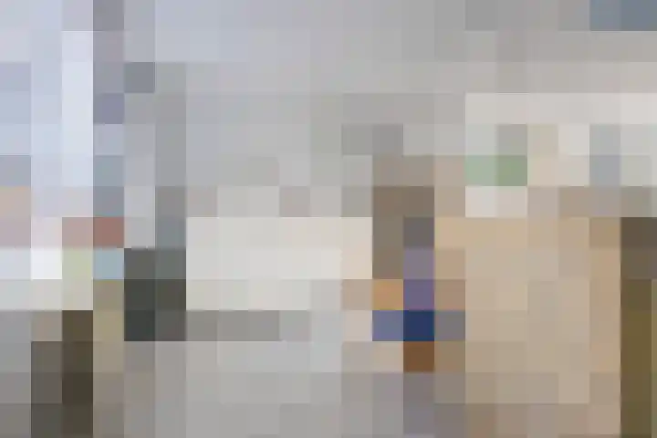 Anemoon 21 De Lier thumbnail 11