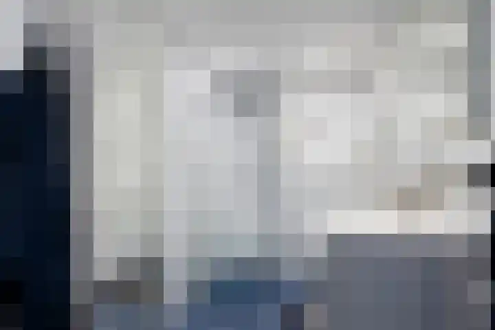 Anemoon 21 De Lier thumbnail 12