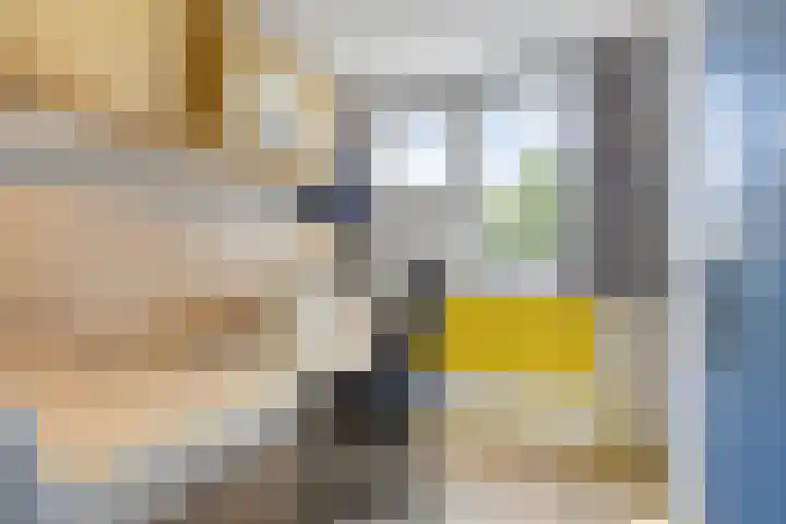 Anemoon 21 De Lier thumbnail 14