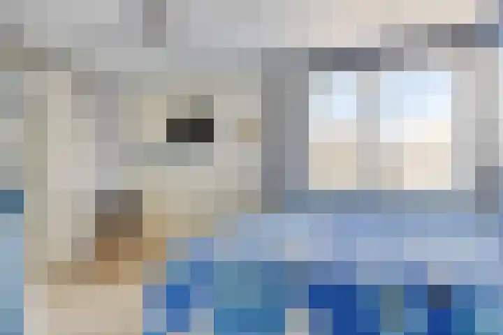 Anemoon 21 De Lier thumbnail 15