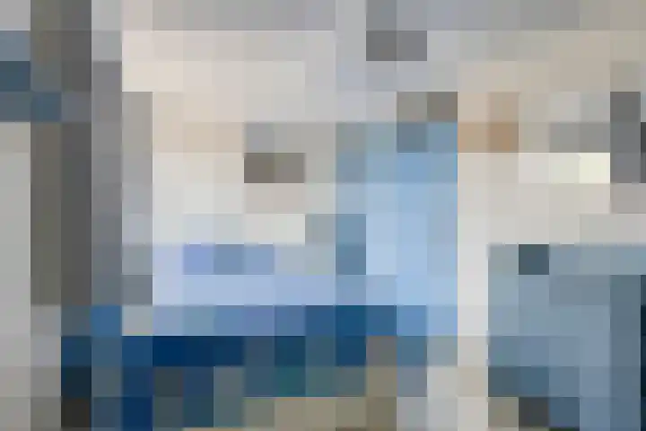 Anemoon 21 De Lier thumbnail 16
