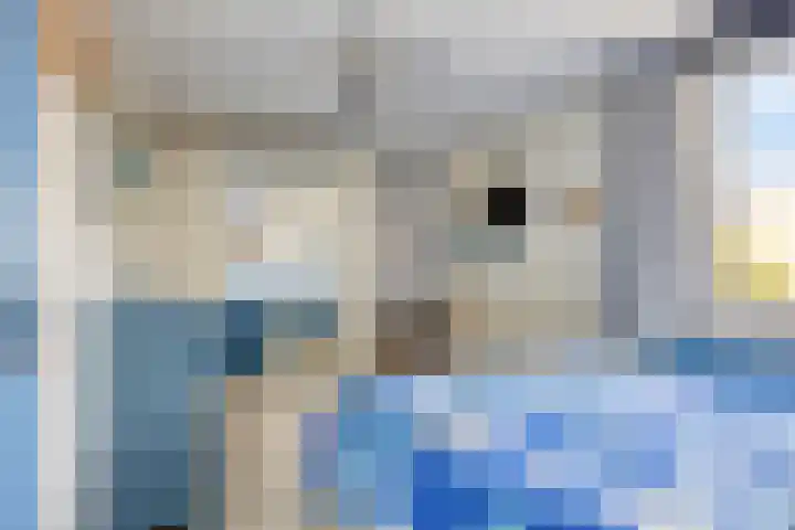 Anemoon 21 De Lier thumbnail 17