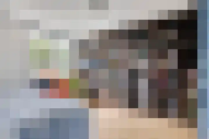 Anemoon 21 De Lier thumbnail 18