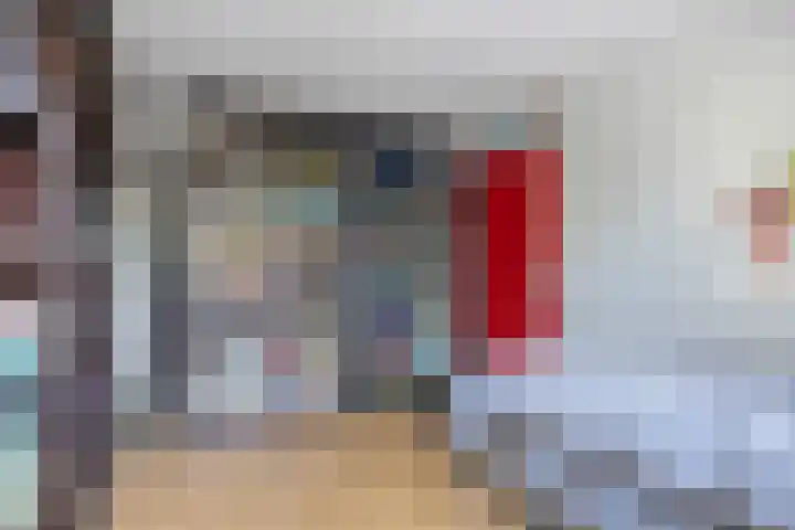Anemoon 21 De Lier thumbnail 19