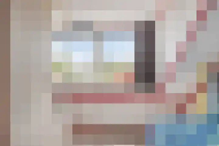 Anemoon 21 De Lier thumbnail 20