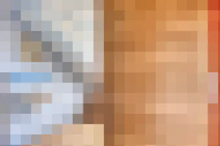 Anemoon 21 De Lier thumbnail 21