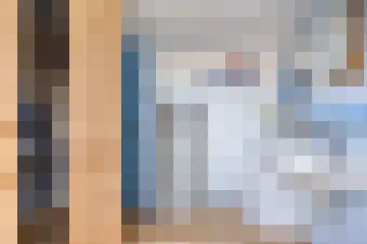 Anemoon 21 De Lier thumbnail 22