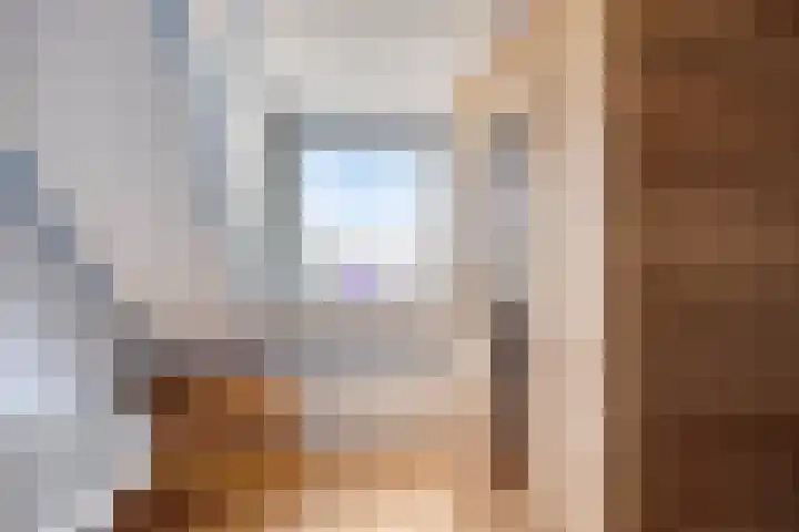 Anemoon 21 De Lier thumbnail 23