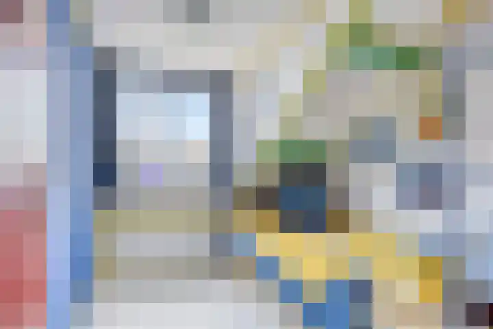 Anemoon 21 De Lier thumbnail 27