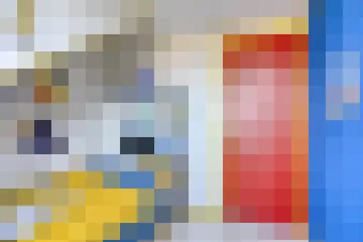 Anemoon 21 De Lier thumbnail 28