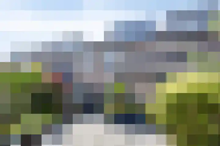 Anemoon 21 De Lier thumbnail 31