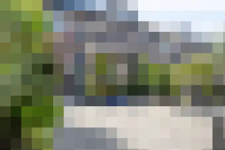 Anemoon 21 De Lier thumbnail 32